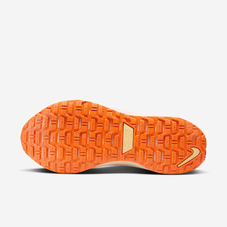 Nike Pegasus Trail 5 Gore-Tex