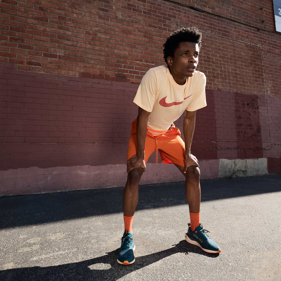 Nike Pegasus Trail 5 Gore-Tex