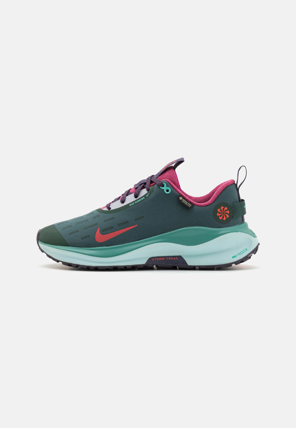 Chaussure Nike InfinityRN 4 GORE-TEX